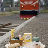 Travel Food Tray
