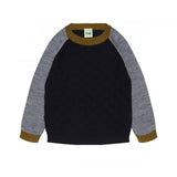 Color Block Crew | Dark Navy