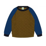 Color Block Crew | Moss