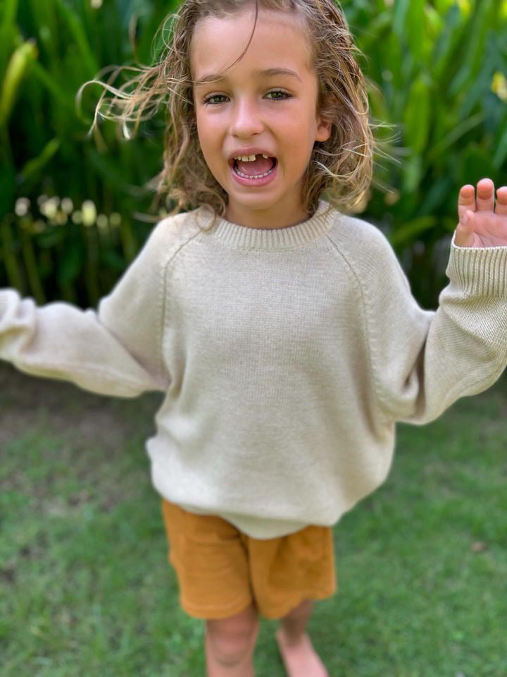 Beige Sweater and Cinnamon Shorts Set