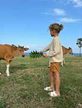 Load image into Gallery viewer, Beige Sweater and Cinnamon Shorts Set
