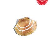 Hand-Painted Mini Seashell Claw Hair Clip