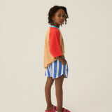 Blue Stripes Washed Shorts
