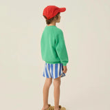 Blue Stripes Washed Shorts