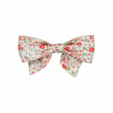 Bonnie Hair Clip