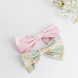 Bonnie Hair Clip
