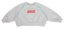 Load image into Gallery viewer, Joie Sweatshirt Melange
