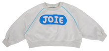 Load image into Gallery viewer, Joie Sweatshirt Melange
